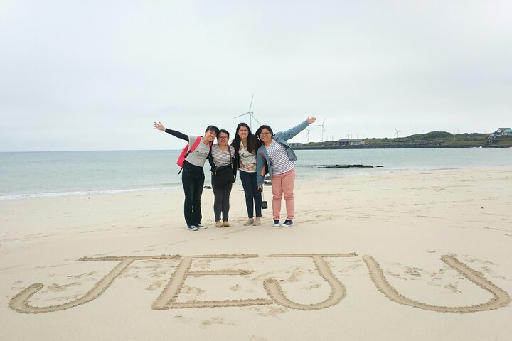 Experience the serene beauty of Jeju's beaches windmills and lush tea fields with a local guide making unforgettable memories surrounded by nature's charm.